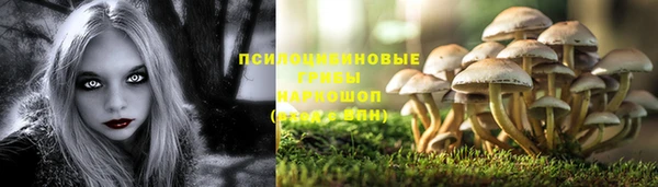 сатива Красноперекопск