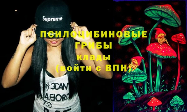 мдпв Краснотурьинск