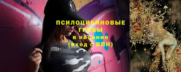 мдпв Краснотурьинск