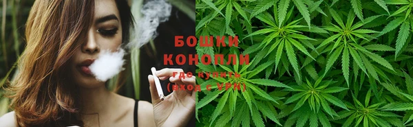 сатива Красноперекопск