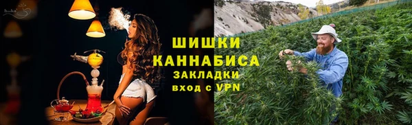 сатива Красноперекопск